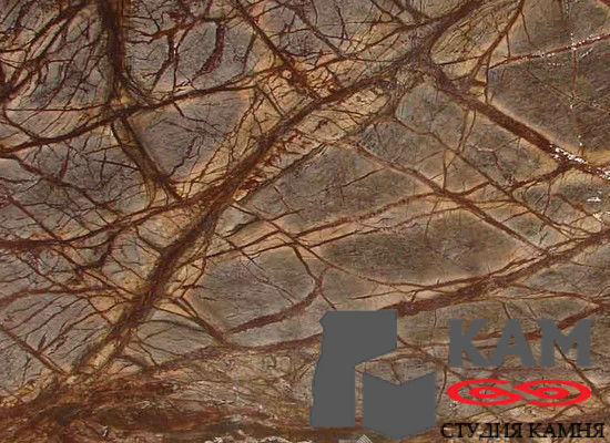 Натуральный камень мрамор Forest Brown (коричневый)