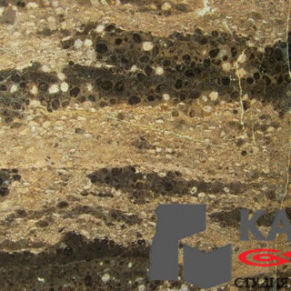 Натуральный камень мрамор Golden Coast (бежевый)